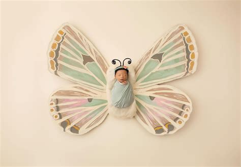 Newborn Digital Backdropthe Pastel Butterfly Etsy Digital Backdrops