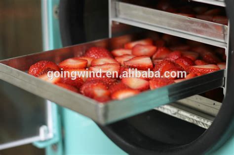 Mini Lab Vacuum Freeze Drying Machine Home Use Food Freeze Dryer