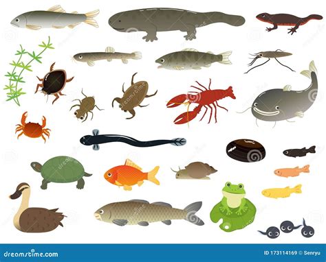 River animals stock vector. Illustration of carp, collection - 173114169