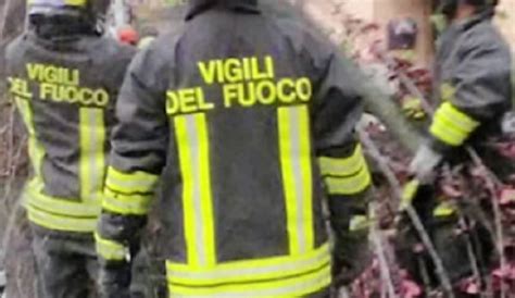 Puglia Incendio Divora Albero Di Metri E Minaccia Abitato