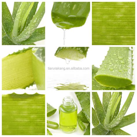 Natural Pure Aloe Vera Extract Powder Aloe Vera