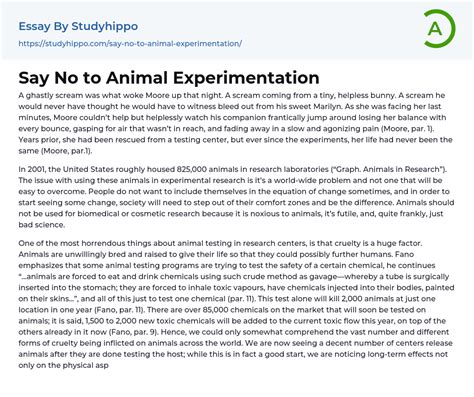 Say No to Animal Experimentation Essay Example | StudyHippo.com