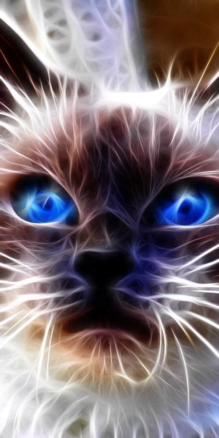 Phone wallpaper: Abstract, Cat, Muzzle, Sight, Opinion, Blue Eyed | Doll drawing, Animals ...