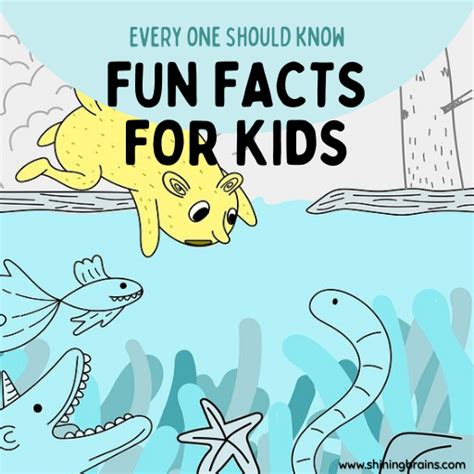 Fun Facts for Kids | 30+ facts for kids - Every kid should know