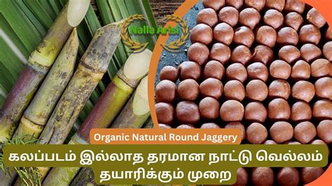 Organic Round Jaggery Nattu Vellam Making Process தரமன நடட