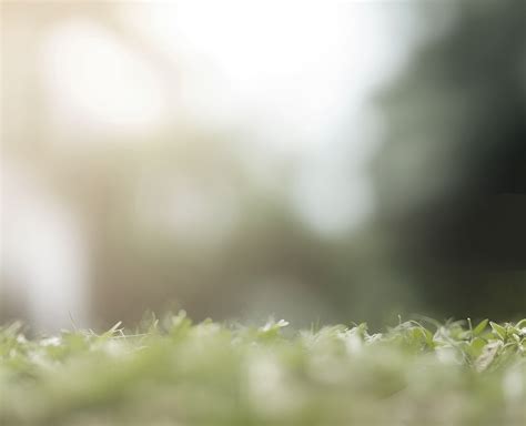 Ashbury Estate Tools & Help - Ashbury Estate