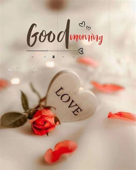 200 Good Morning Wishes For Girlfriend Best Messages Hd Images Artofit