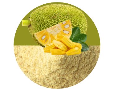 Jackfruit Powder Drymac Foods LLP