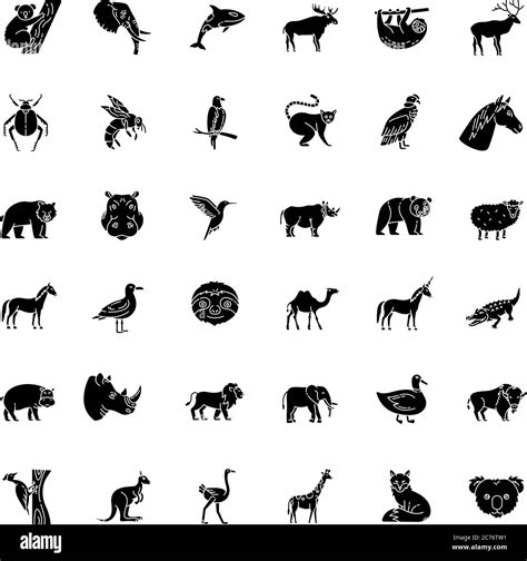 Animals black glyph icons set on white space. Different wildlife ...