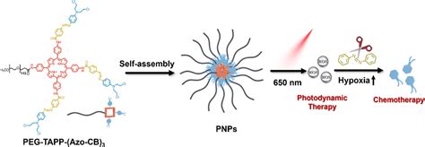 Hypoxia Responsive Polymeric Nanoprodrugs For Combo Photodynamic And