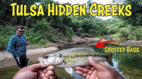 Fishing Tulsa Hidden Creeks Full Of Spotted Bass Clear Creek Youtube