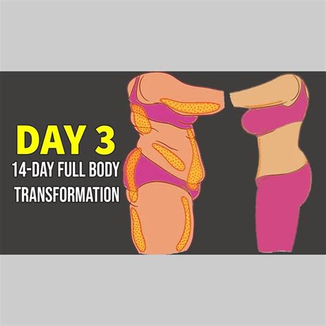 Day 3 Arms Back Belly 14 Day Full Body Transformation Program Top Moderate Workout