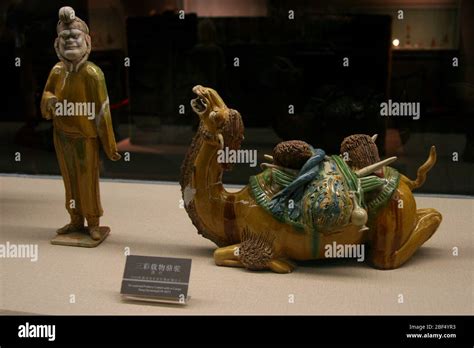 Tang Dynasty Camel Hi Res Stock Photography And Images Alamy