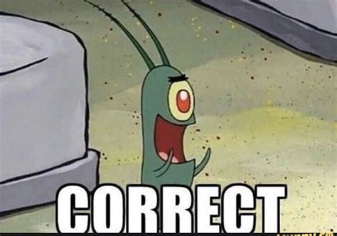 correct plankton correct meme spongebob funny memes spongebob memes