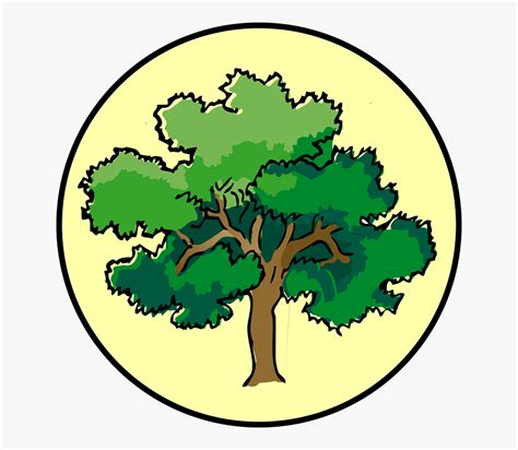 Clipart trees narra, Clipart trees narra Transparent FREE for download ...