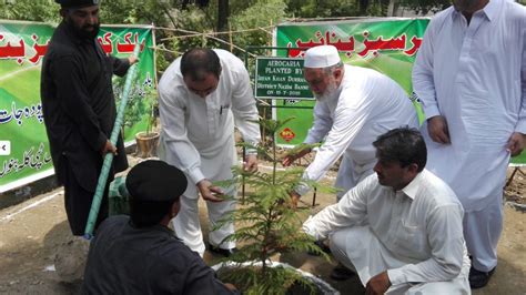 Pakistans Billion Tree Tsunami Restores 350000 Hectares Of Forests