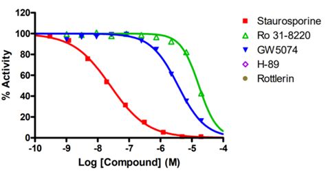 mek kinase assay service reaction biology