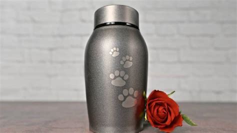 New Valley Business To Offer Water Cremation For Pets