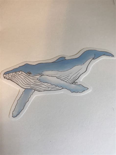 Humpback Whale Vinyl Sticker Etsy