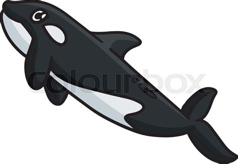 Whale Clipart Vintage Orca Killer Whale - Clip Art Library