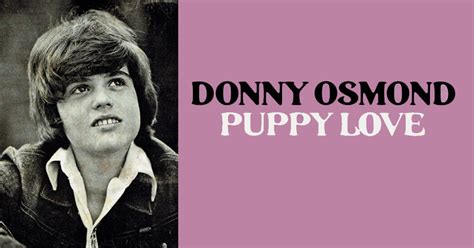 Donny Osmond: "Puppy Love" | DoYouRemember?