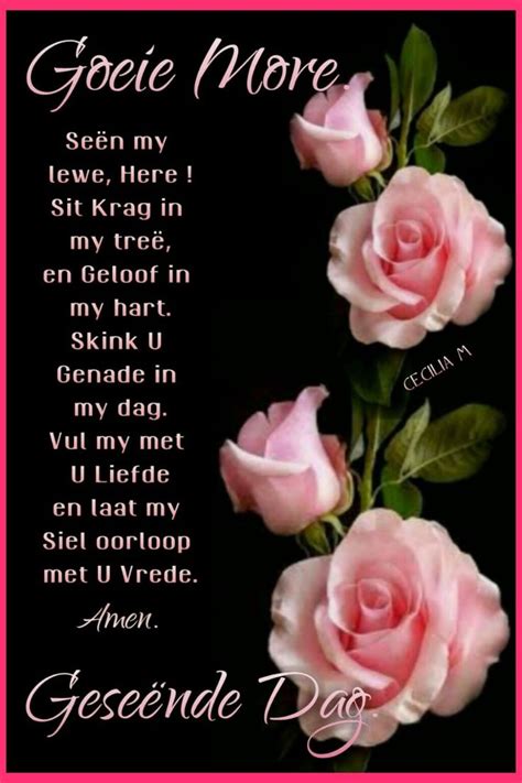 Pin By Celia Preez On Goeie Môre Good Morning Texts Afrikaanse Quotes Afrikaans Quotes