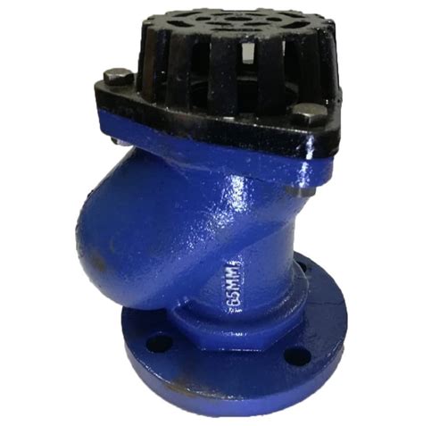 Blue And Black Cast Iron Flanged Ball Foot Valve Size Mm Diameter