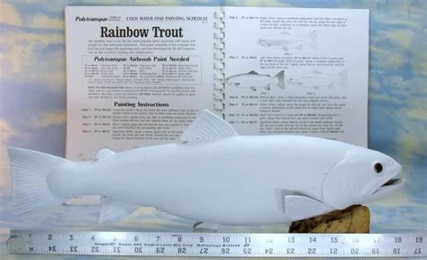 19" BLANK Trout Fish U paint Taxidermy Rainbow Brown | #99573736