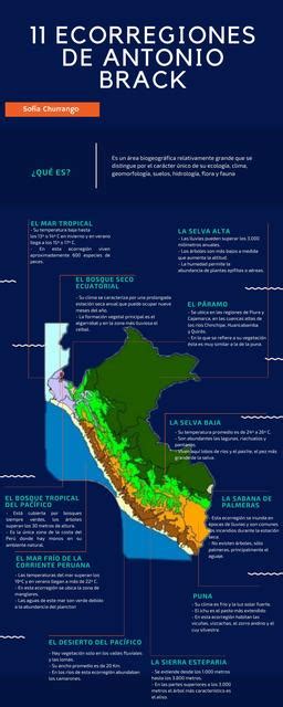 Ecorregiones Del Per Sucrette Castiel Udocz