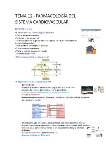 Tema Farmacologia Del Sistema Nervioso Central Pdf