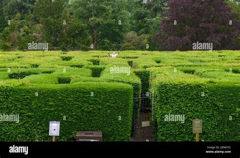 Traquair Maze at Traquair House near Innerleithen in The Scottish Borders Stock Photo - Alamy