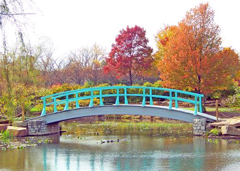 Monet Bridge In Park In Autumn Free Stock Photo - Public Domain Pictures