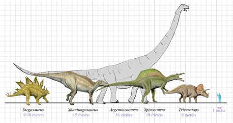 Sauropod Size Comparison