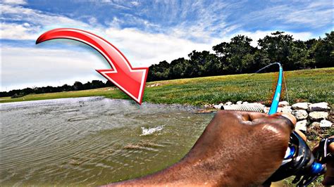 Pond Fishing For Big Bass After Big Rain My Best Day Bass Manager