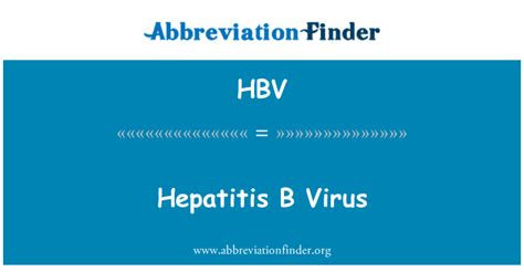 hbv hepatitis  virus