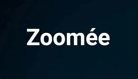 Zoomée: A Video Call Revolution