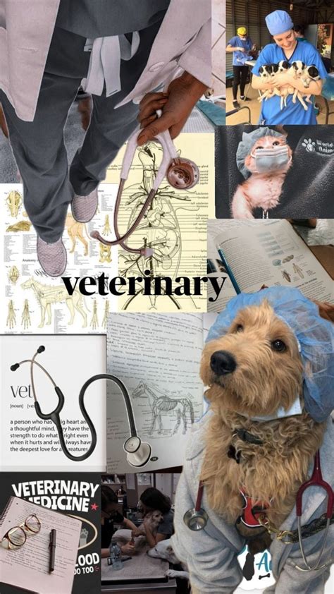 Pin by 저도 모르게 된다 수 있습니다 오후 저도 잘 모르겠지만 on veterinární klinika Vet