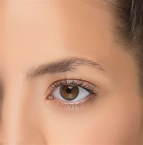 L Oréal Paris Gel sprancene L Oreal Paris UNBELIEVA BROW Brunette elefant ro