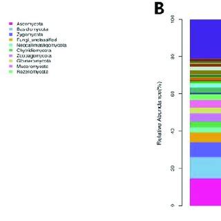 Colonic Mucosal Bacterial Richness And Diversity In Adenomas With