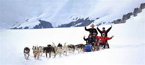 Glacier Dog Sledding Photo Gallery | Alaska Icefield Expeditions ...