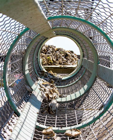 Rock Salt Oyster Happy Hour at Koby Rawling blog