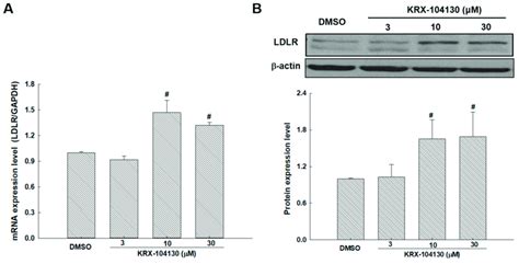 A Mrna And B Protein Expression Levels Of Ldlr Treated With