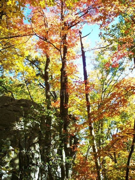 Desoto Falls In Alabama Stock Photo Image Of Tree Outdoors 4049450