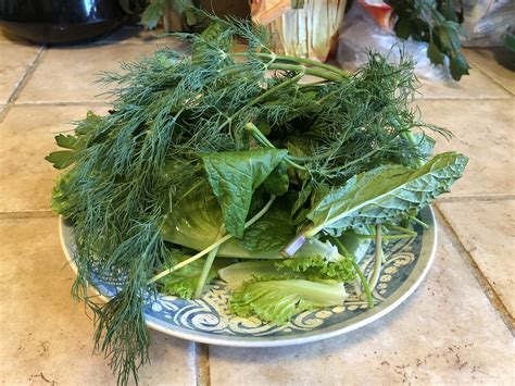What Leafy Green Vegetables Are Safe For Dogs