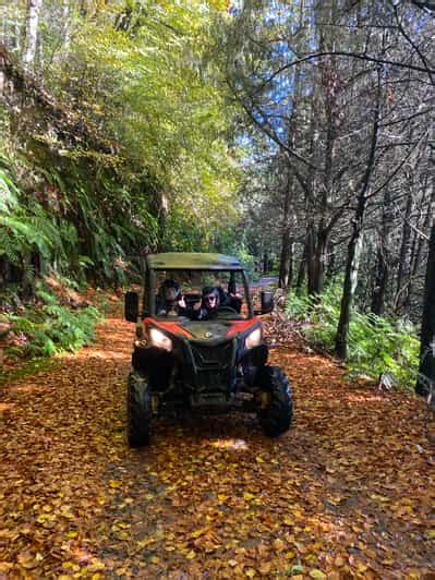 Madeira Private Off Road Buggy Driving Experience GetYourGuide