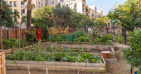 Plan De Relance Des Appels D Offres Pour Soutenir Les Jardins