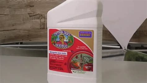 6 Best Insecticide For Mealybugs 2023 [preventive Guide]