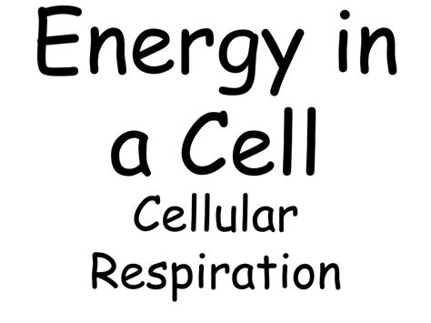 Ppt Energy In A Cell Powerpoint Presentation Free Download Id 6259040