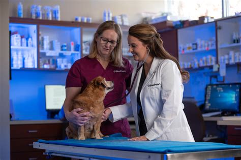 Your Pet Is Our Passion Veterinary Dermatology By Bluepearl Johns