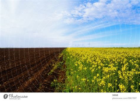 Felder Umwelt Natur Ein Lizenzfreies Stock Foto Von Photocase